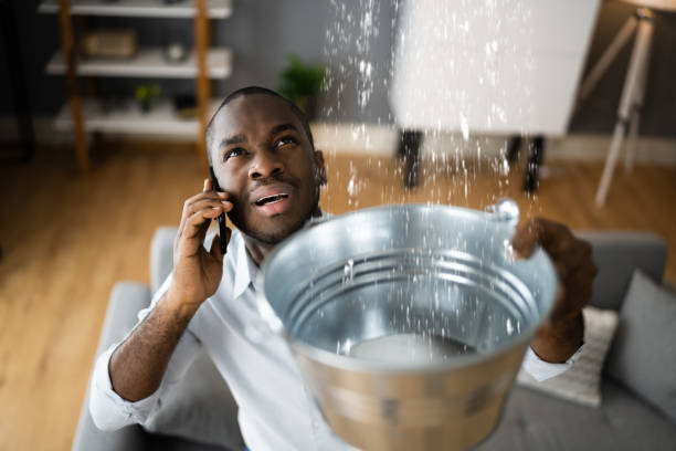 Best Flooded house restoration  in Northville, MI