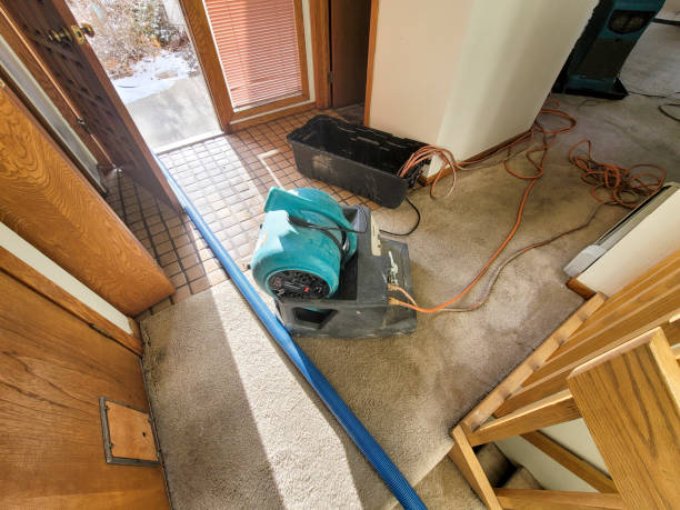 Best 24-hour water damage restoration  in Northville, MI