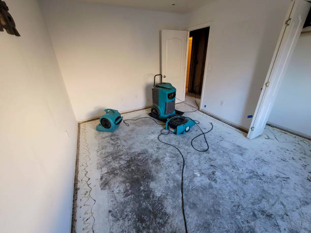 Best Flooded house restoration  in Northville, MI