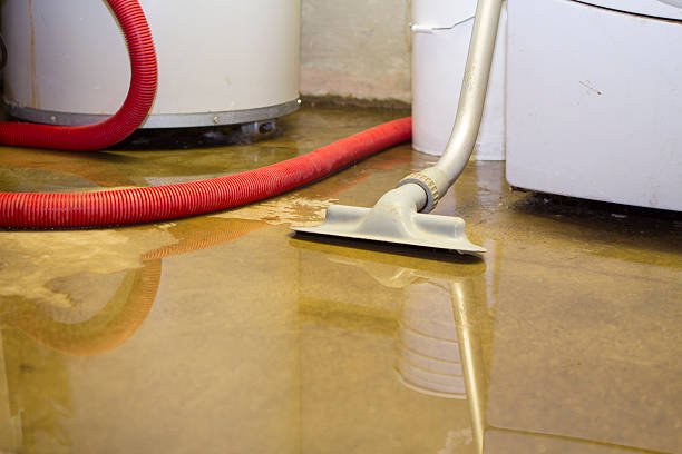 Reliable MI Water damage restoration Solutions