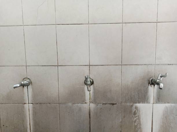  Northville, MI Water damage restoration Pros