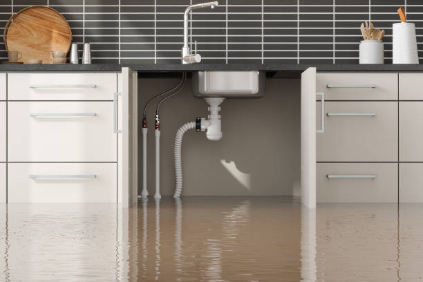 Best Flood damage cleanup  in Northville, MI