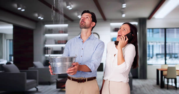 Best Emergency water damage restoration  in Northville, MI